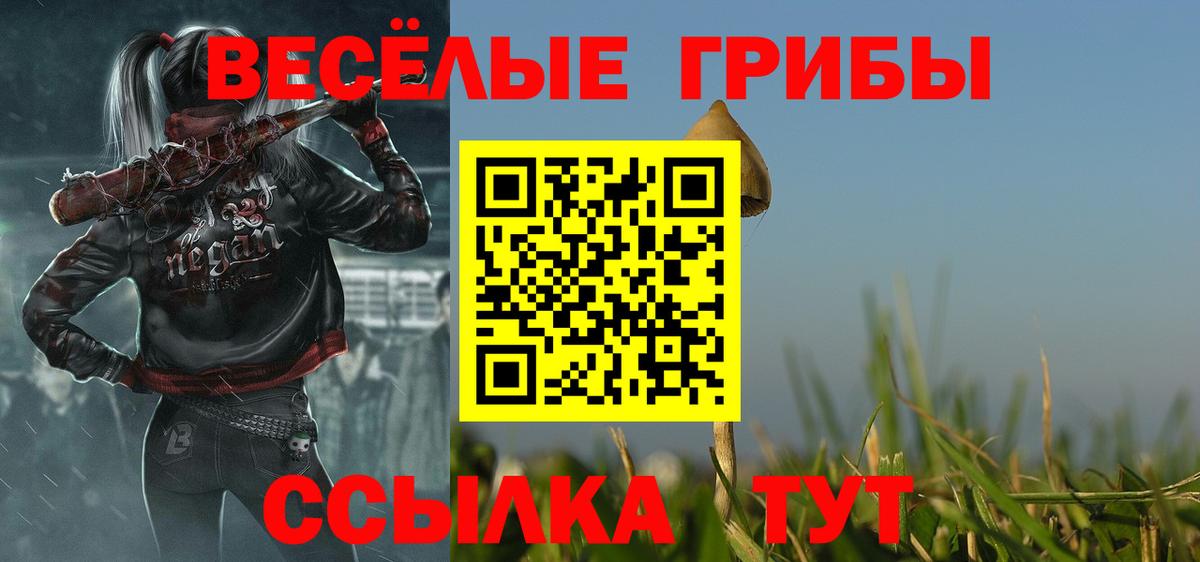 Галлюциногенные грибы Psilocybine cubensis Гуково
